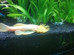 -上海海洋水族馆