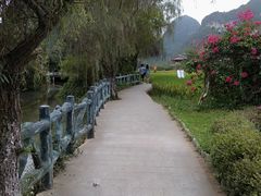 -靖西鹅泉风景区