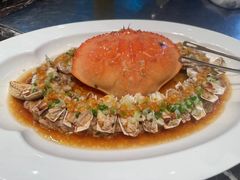 -望海湾海鲜楼·海鲜(河南路店)