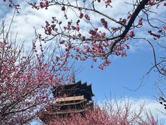 -杭州半山国家森林公园