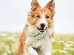 -无锡市市民中心