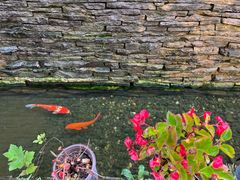 -老洋房花园饭店(绍兴路店)