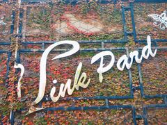 -半岛1919创意园区