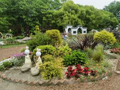 -上海共青森林公园