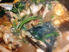 -九道菜有鸡鱼头(石鼓路店)