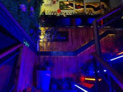 -Famous肥猫墨西哥音乐餐吧(五棵松华熙LIVE店)