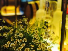 -Tivano意大利餐厅(成都居舍酒店)