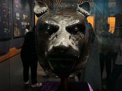 -广西壮族自治区博物馆