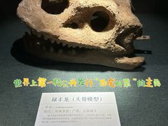 -大连自然博物馆