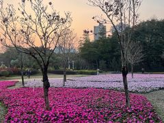 -文华公园(禅城区)