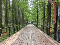 -青山湖景区