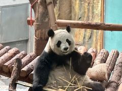 -青藏高原野生动物园