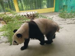 -杭州野生动物世界