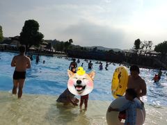 -南京银杏湖乐园