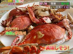 -辽宁团山国家级海洋公园