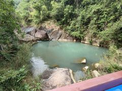 -广州白江湖森林公园