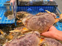 -海月轩海鲜豆捞(紫金塔店)