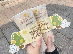 -猫的魔法密林(衣裳街店)