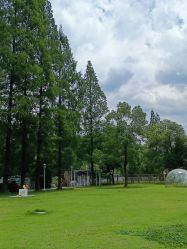 -糖果baby儿童摄影定制馆(外景店)