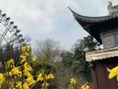 -梅园