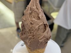 -野人先生现做冰淇淋(深圳壹方城店)