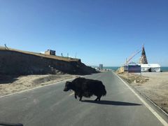 -青海湖国家重点风景名胜区