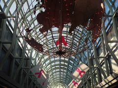 -奥黑尔国际机场