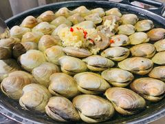 大白贝-水哥卜卜贝(东晓·胜汇里店)