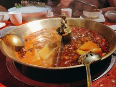 -小龙翻大江文化火锅(宽窄店)