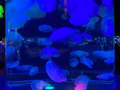 -太平洋海底世界