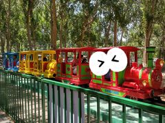 -长白岛森林公园