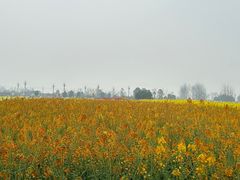 -中国天府农业博览园