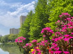 -昆山城市生态森林公园