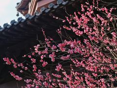 -慧因高丽寺