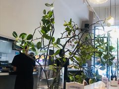 -小豆海棠(嘉兴路店)