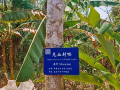 -中国科学院西双版纳热带植物园