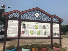 介绍-向葡萄庄园