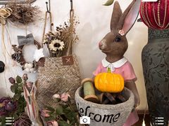 -春风·有糖(崇宁路店)