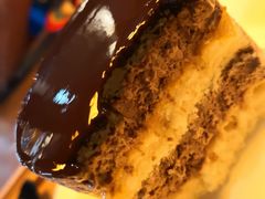 巧克力香芒-LYFATTI 莱芙缇(赣水路店)