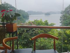 -广州市流溪河国家森林公园