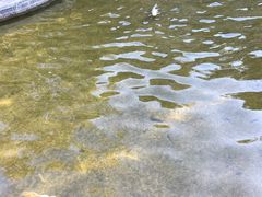 -七彩云南古滇温泉山庄
