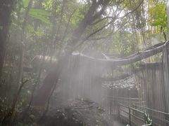 -青青世界