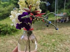 -武陵山森林公园