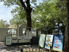 -灵谷景区