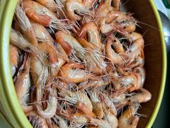 清蒸河虾-东胜客河鲜店·西江河鲜·老字號渔家菜