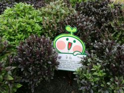 -梦田都市农场(银泰城店)