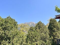 -泰山风景名胜区