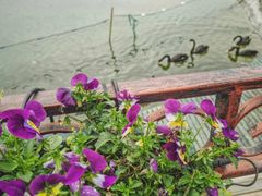 -华谊兄弟（长沙）电影小镇