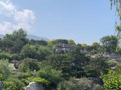 -北京西山国家森林公园