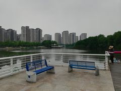 -新江湾城公园